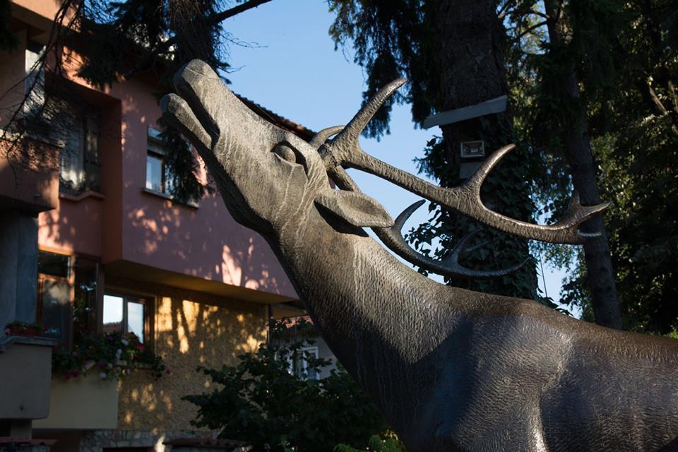 Guest House Elena Velingrad Exterior foto